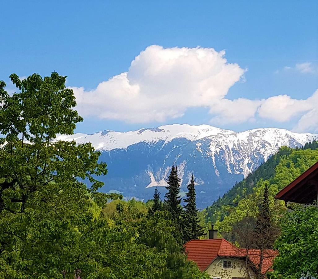Studio Jan Zgornje Gorje Zewnętrze zdjęcie